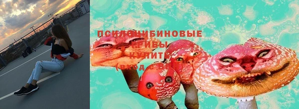 соль курить ск Горно-Алтайск