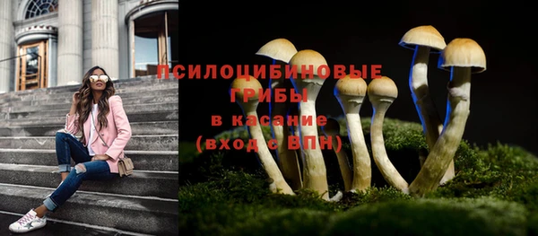 таблы Бутурлиновка