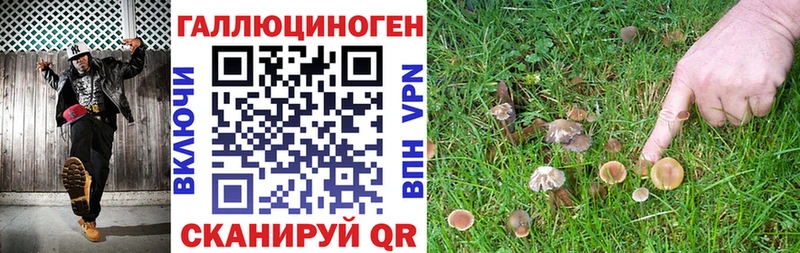 Галлюциногенные грибы GOLDEN TEACHER  Красавино 